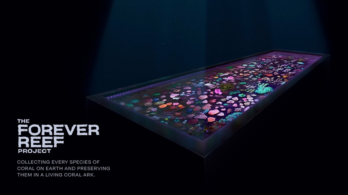 The Great Barrier Reef Legacy launches new campaign to raise funds for The Forever Reef Project via M&C Saatchi Group